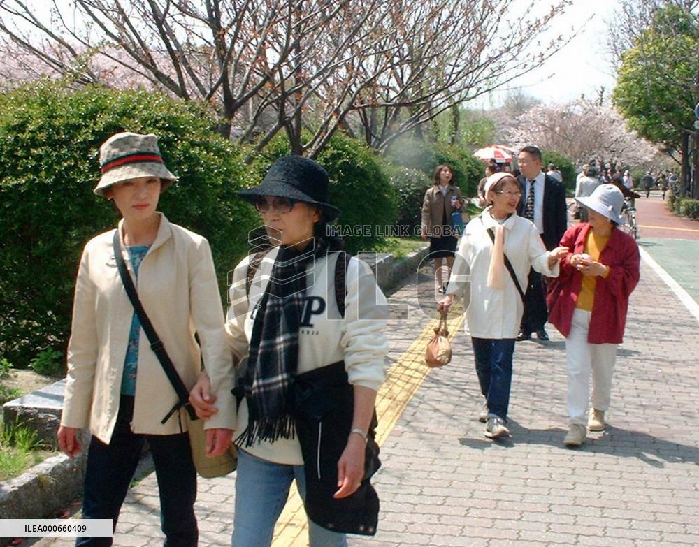 People living alone getting together to arrange funerals