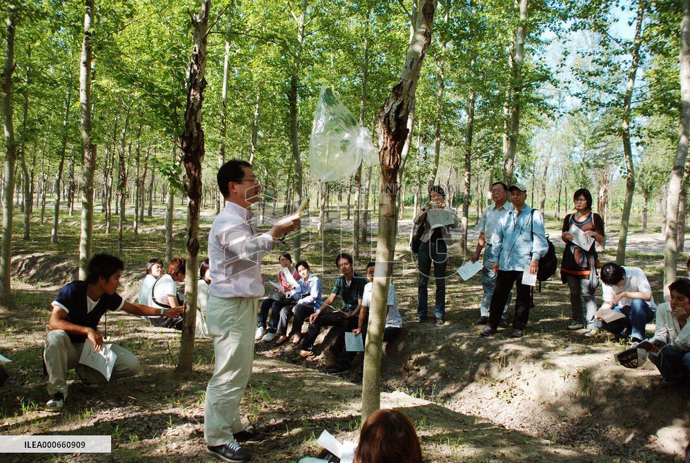 Keio's forestation plan in China recognized as climate project