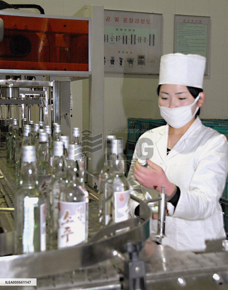 N. Korea begins 'shochu' production