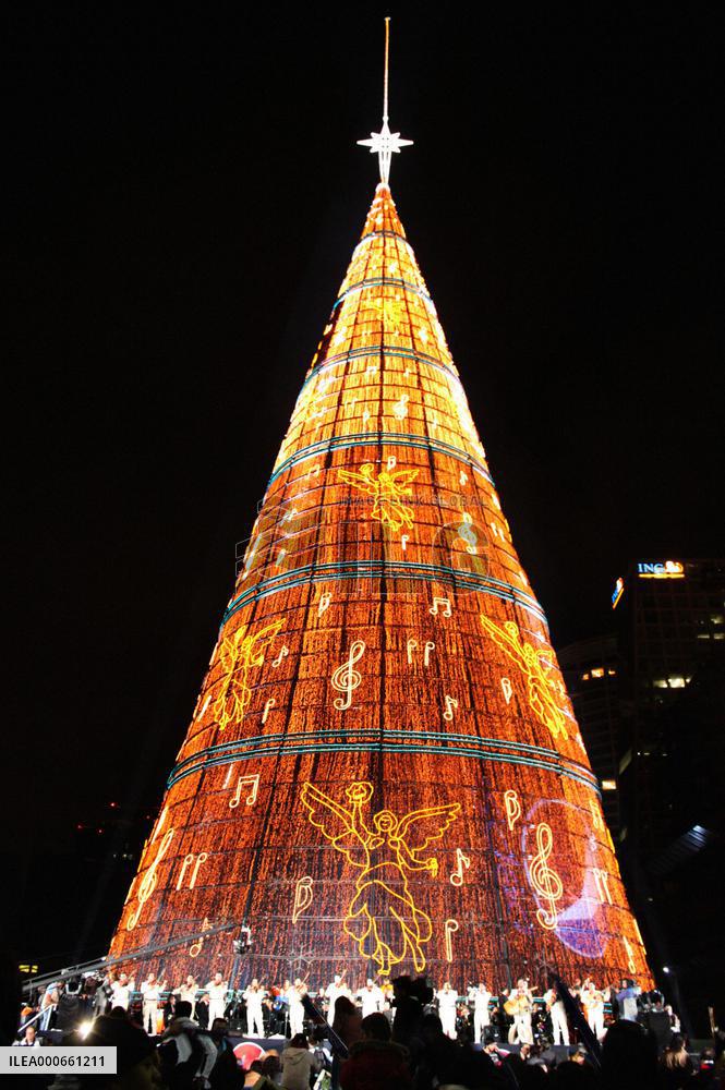 World's tallest Christmas tree lit in Mexico
