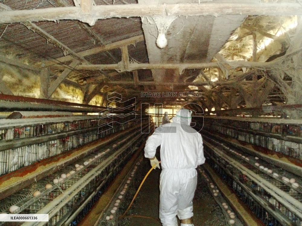 Disinfection work begins at Okayama farm hit by bird flu