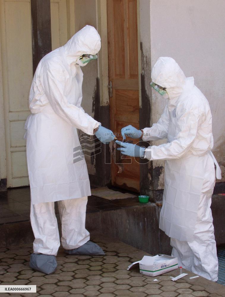 Indonesia stages simulated bird flu pandemic