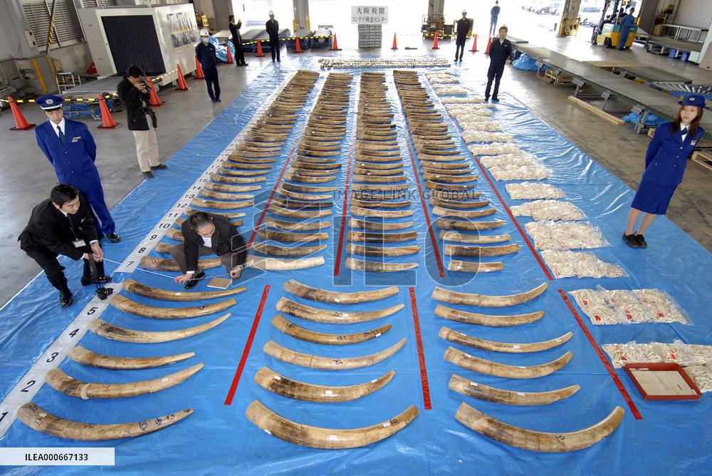40 tons of illegally traded ivory seized in 2 yrs