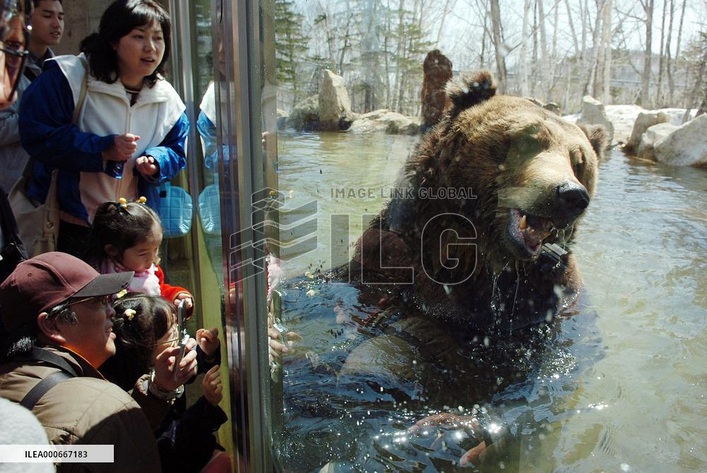 Open-air bear facility open in Hokkaido