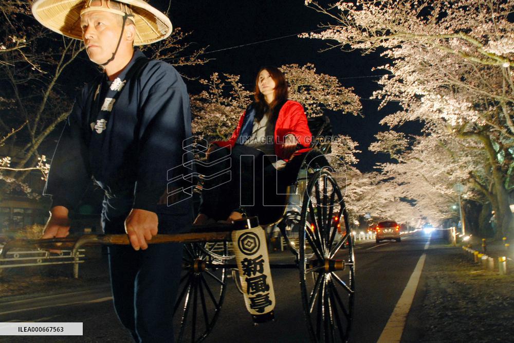 Sightseeing rickshaw attracts cherry blossom viewers