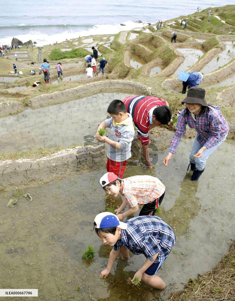 Volunteers take part in rice-planting in Wajima