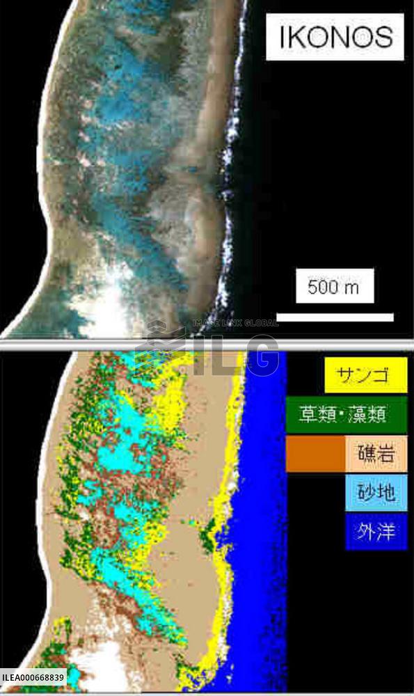 Satellites used to study coral bleaching