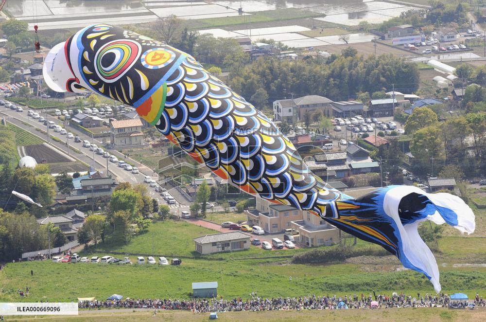 Jumbo carp streamer hoisted in Kazo, Saitama Prefecture