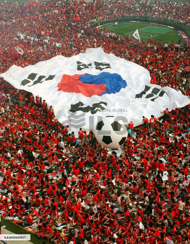 Supporters at World Cup matches