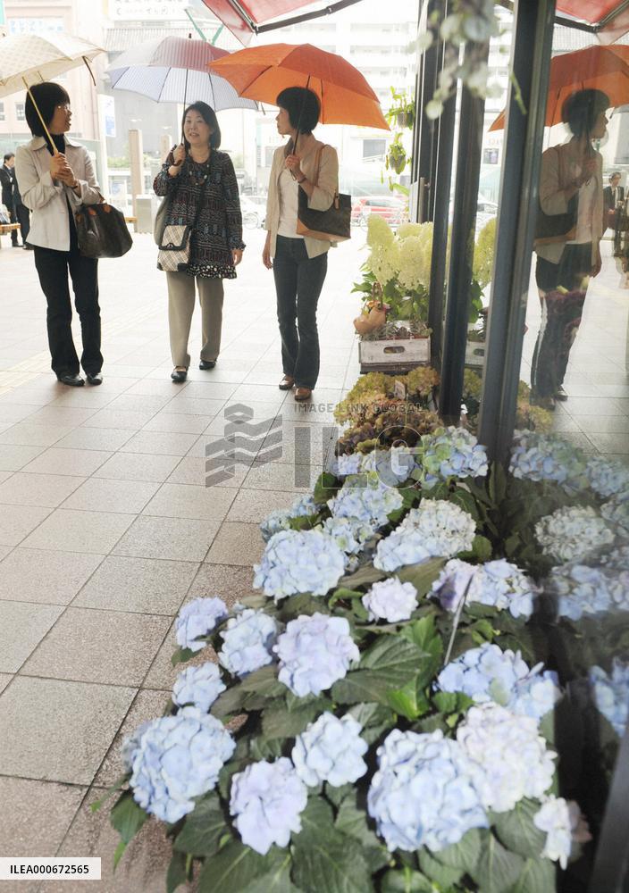 Rainy season begins in western half of Japan