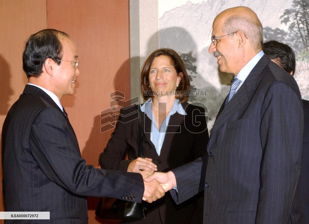 IAEA head optimistic about mission to monitor N. Korea nuke shut