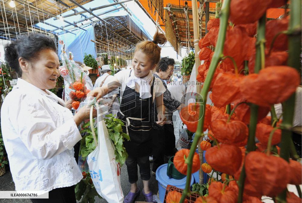 Annual Hozuki Fair begins in Tokyo's Asakusa