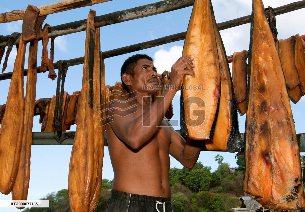 Whale hunters in Indonesia