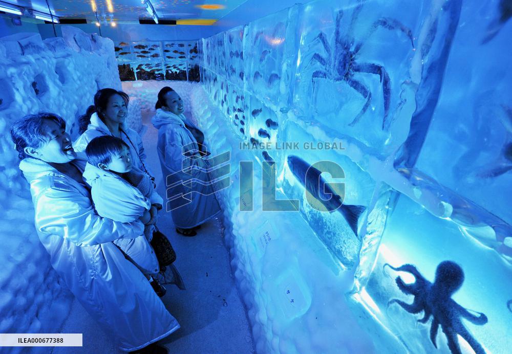 Icy aquarium in Miyagi