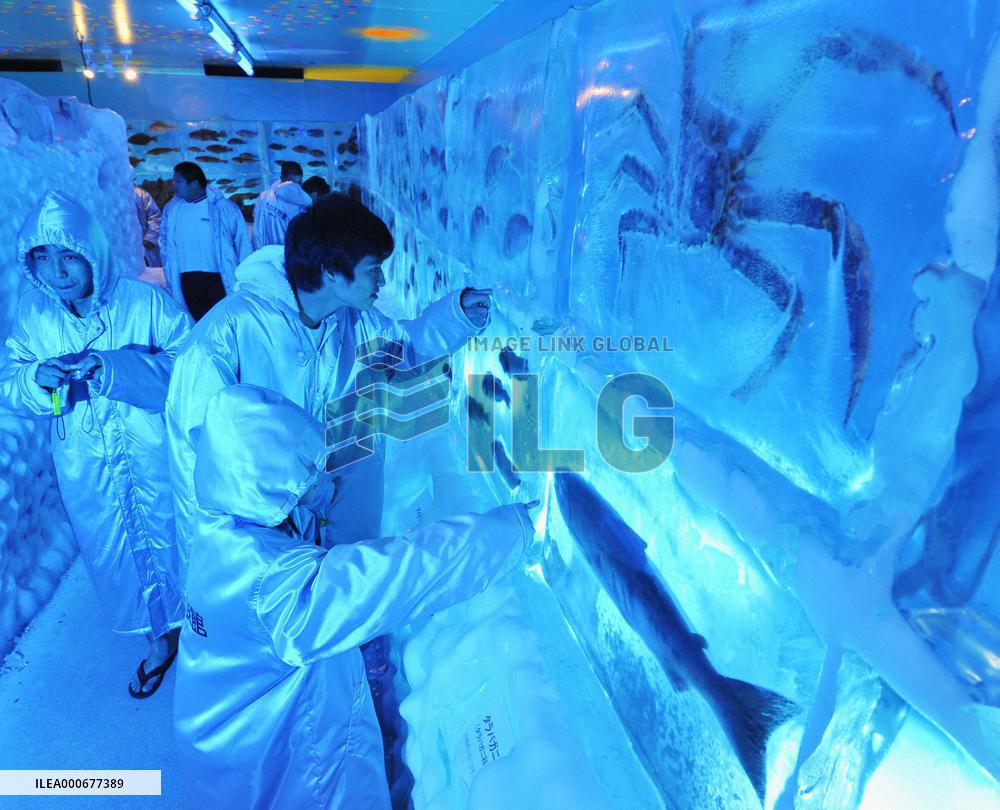 Icy aquarium in Miyagi