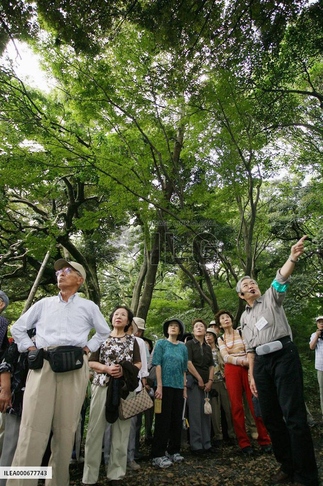 Visitors tour inner gardens of Imperial Palace