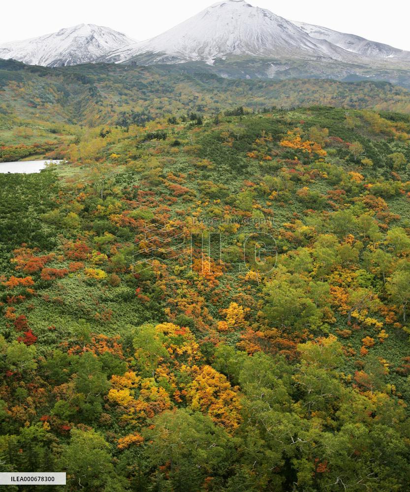 Daisetsu mountain range in Hokkaido covered with snow