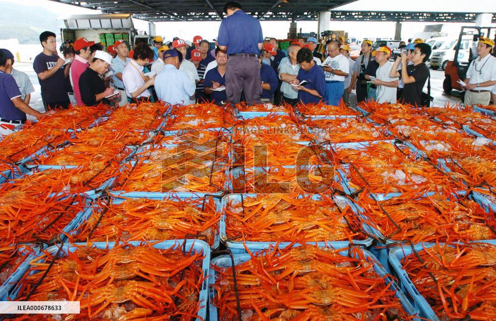 Red queen crabs at season's 1st auction in Japan