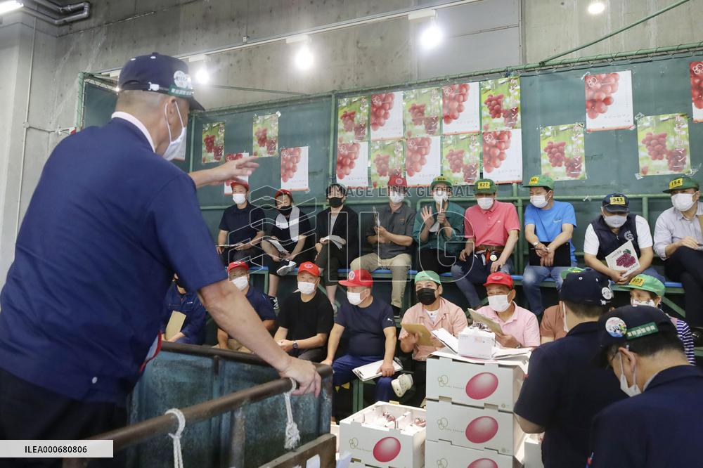 Japanese grapes fetch record price