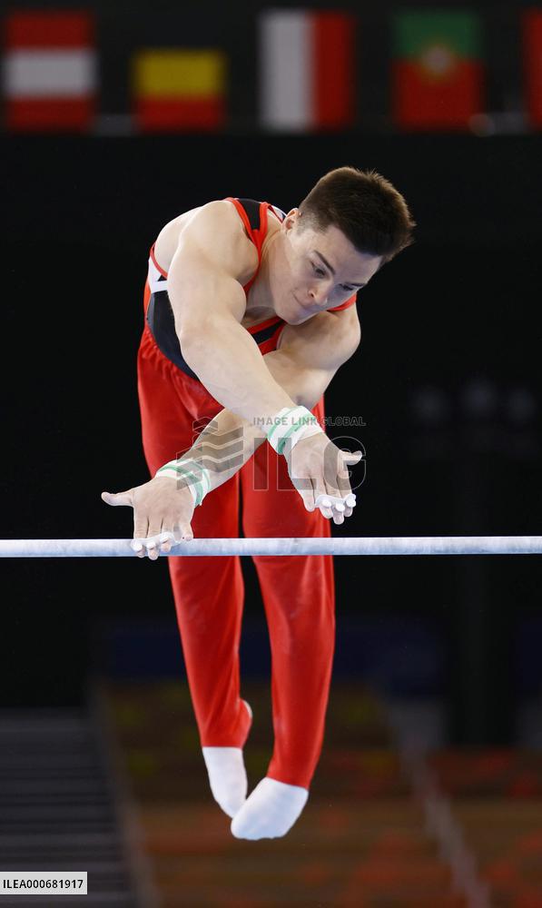 Tokyo Olympics: Artistic Gymnastics