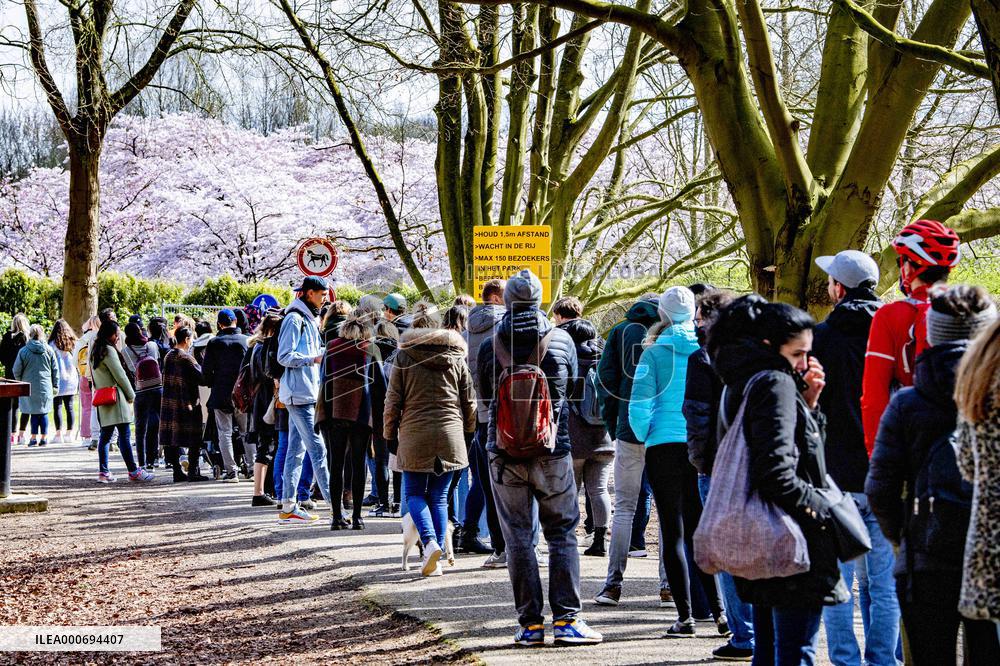 The Blossom Park - Netherlands