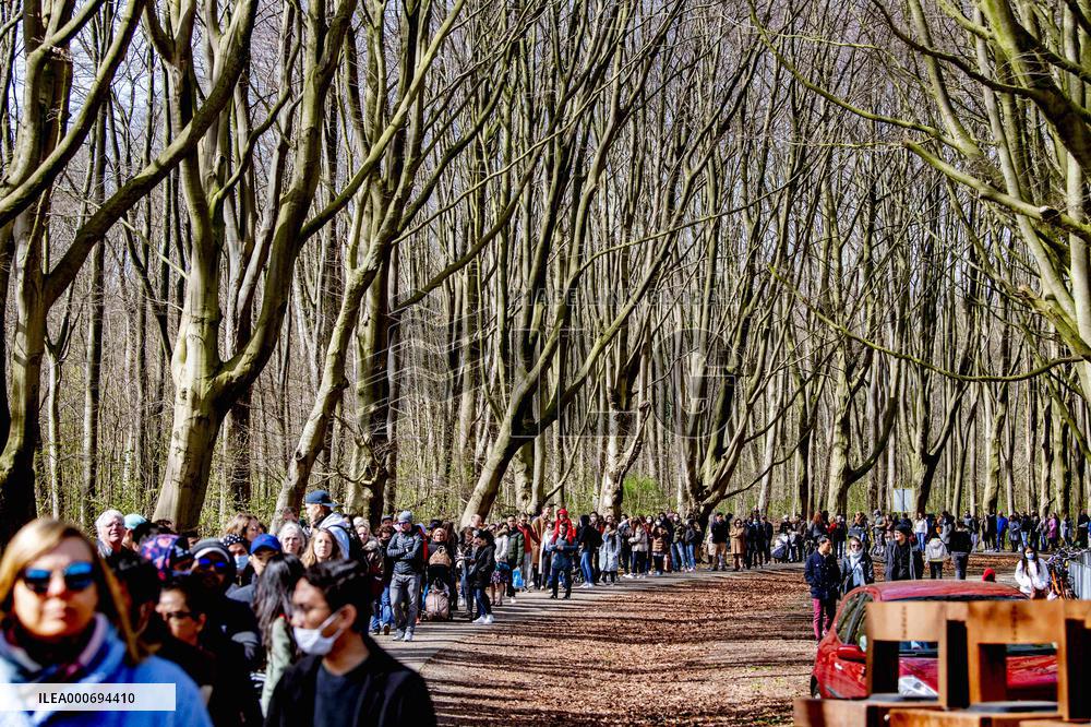 The Blossom Park - Netherlands