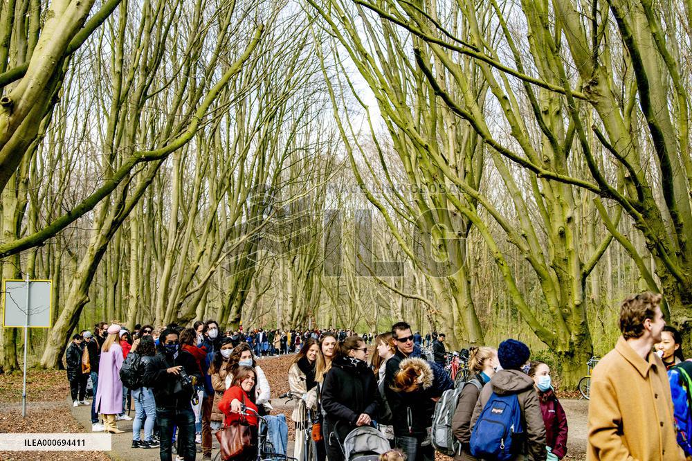 The Blossom Park - Netherlands