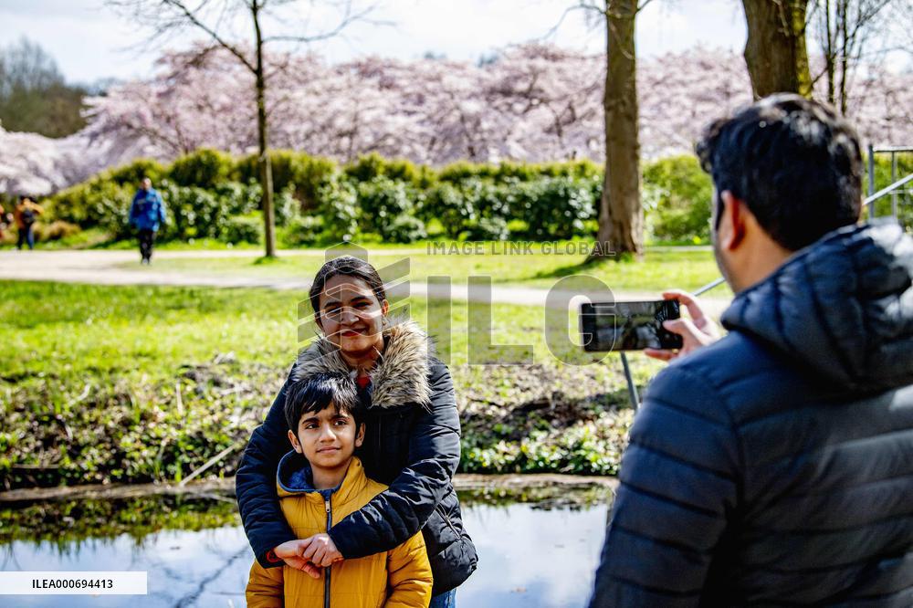 The Blossom Park - Netherlands