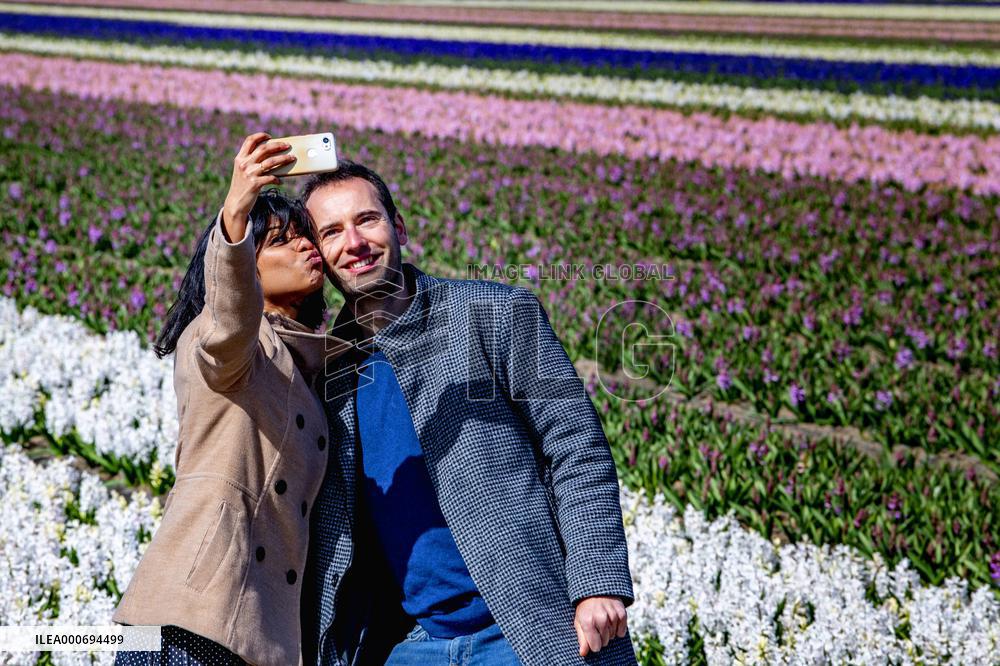 Tulip fields in Lisse - Netherlands