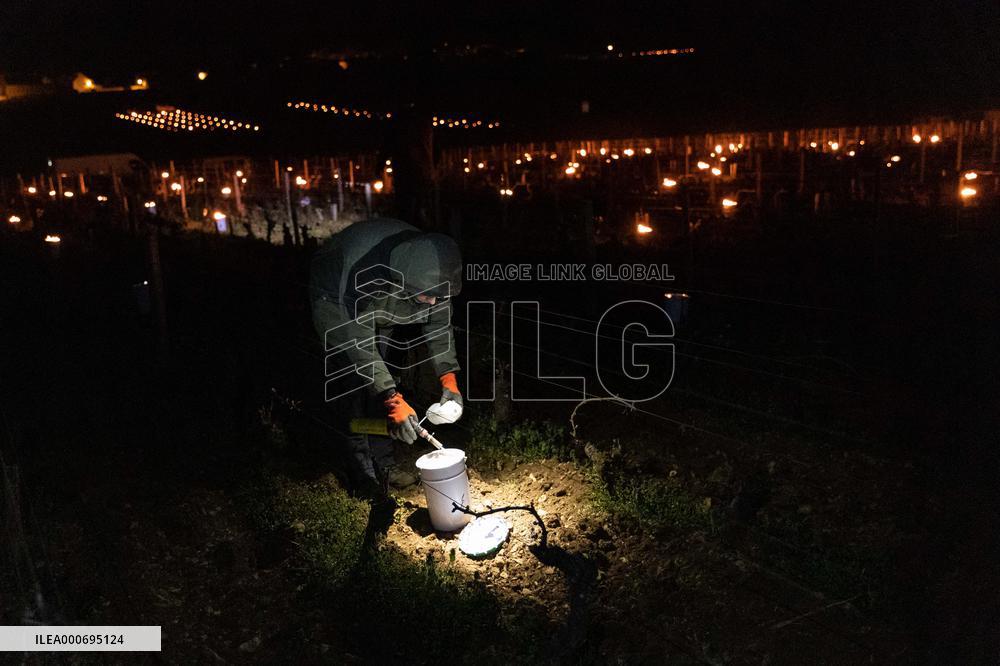 Candles In The Côte D'or Vineyards To Combat Frost