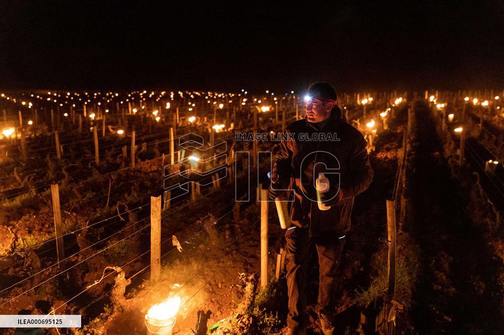 Candles In The Côte D'or Vineyards To Combat Frost