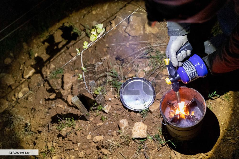 Candles In The Côte D'or Vineyards To Combat Frost