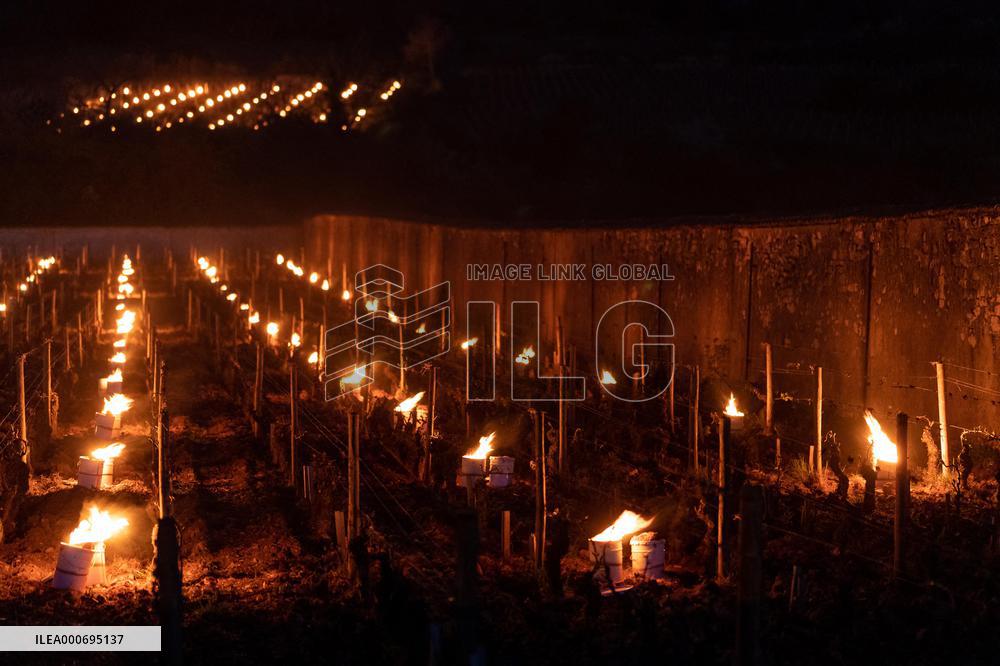 Candles In The Côte D'or Vineyards To Combat Frost