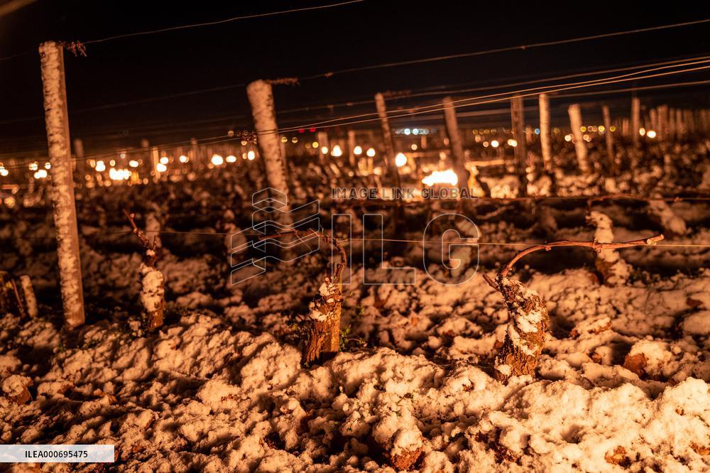 Candles In The Côte D'or Vineyards To Combat Frost