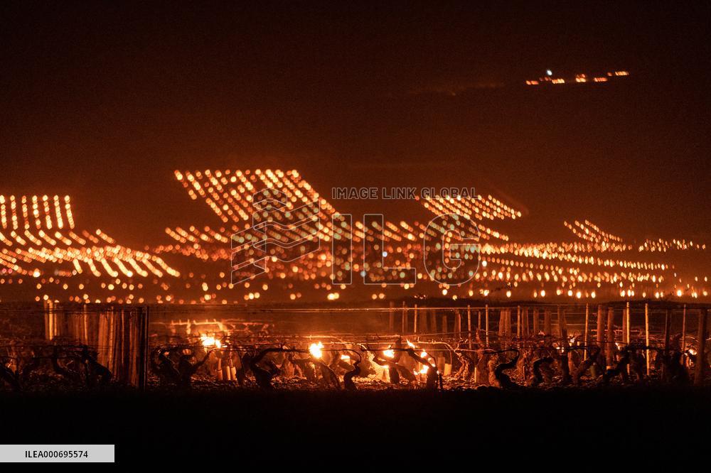 Candles In The Côte D'or Vineyards To Combat Frost