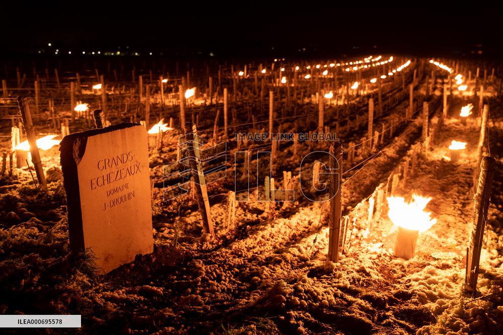 Candles In The Côte D'or Vineyards To Combat Frost