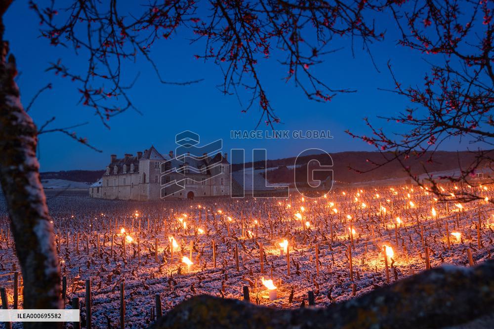 Candles In The Côte D'or Vineyards To Combat Frost