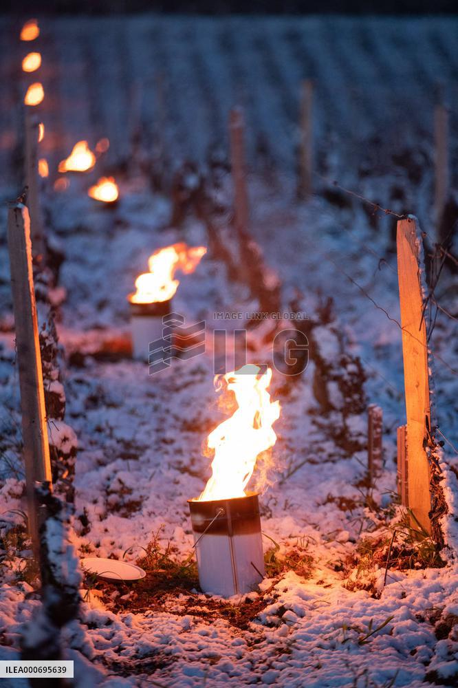 Candles In The Côte D'or Vineyards To Combat Frost