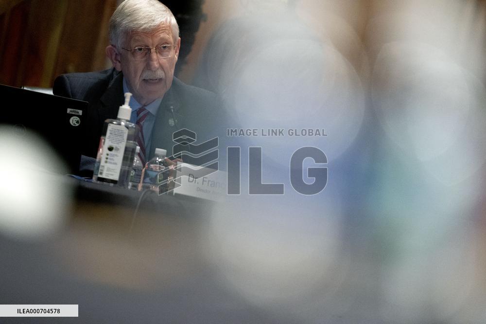 National Institutes of Health's FY22 Budget Hearing - Washington