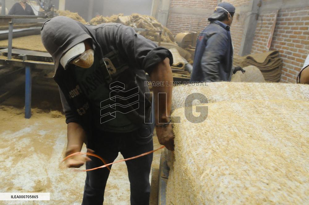 Production Of Matress With Coconut Fiber - Mexico