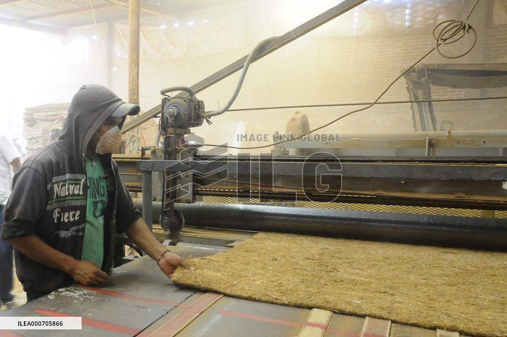 Production Of Matress With Coconut Fiber - Mexico