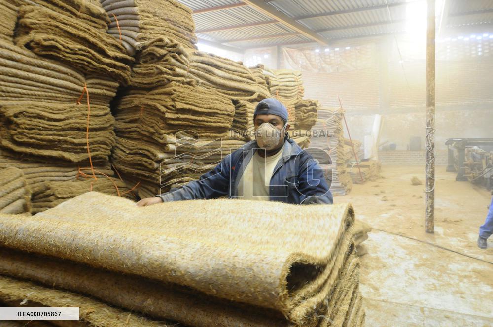 Production Of Matress With Coconut Fiber - Mexico
