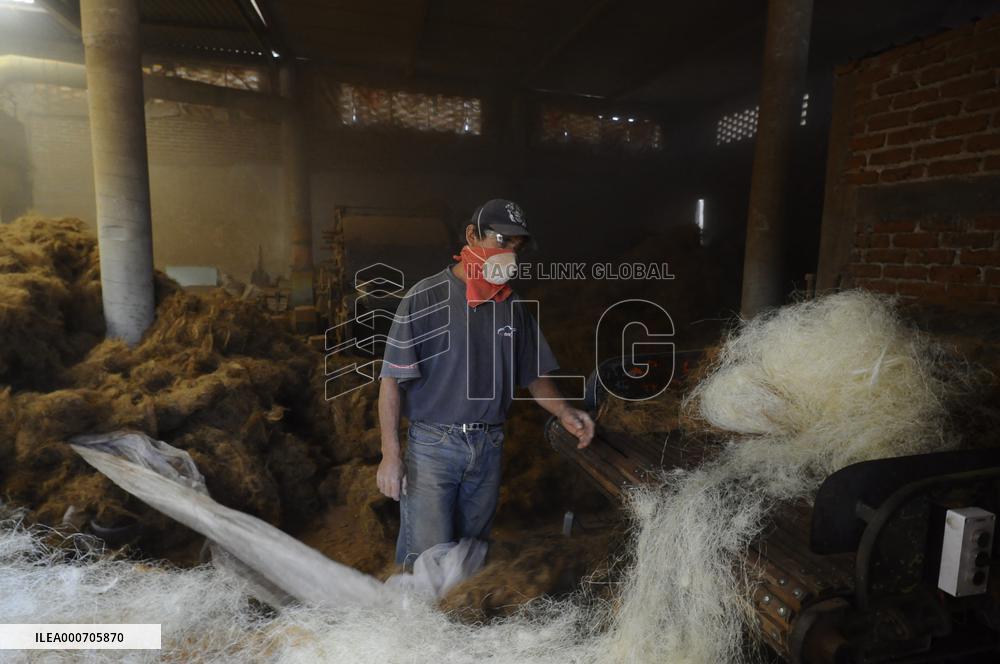 Production Of Matress With Coconut Fiber - Mexico