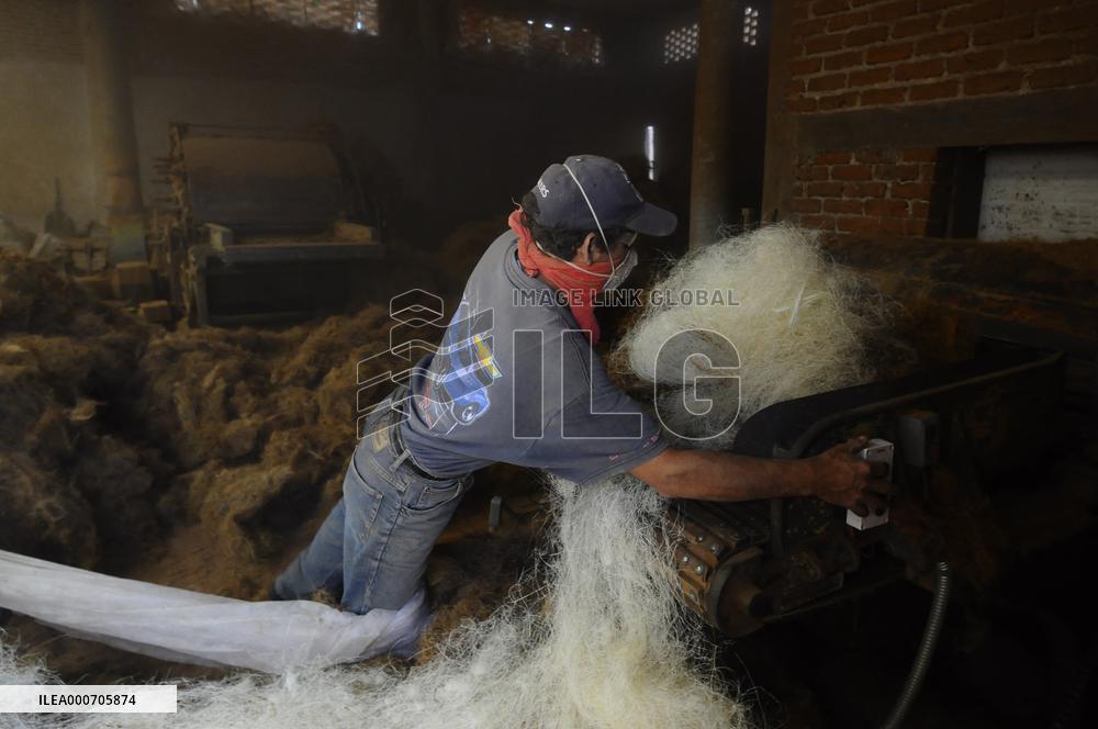 Production Of Matress With Coconut Fiber - Mexico