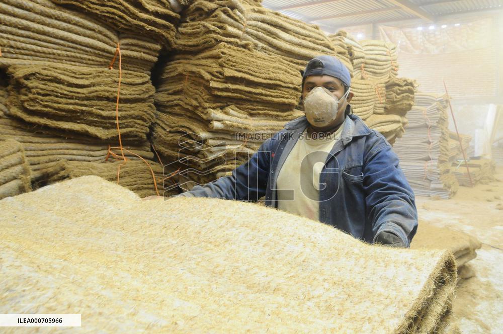 Production Of Matress With Coconut Fiber - Mexico