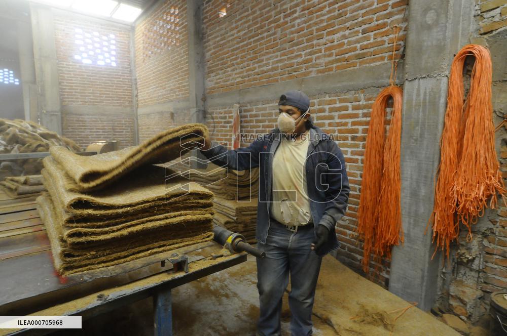 Production Of Matress With Coconut Fiber - Mexico
