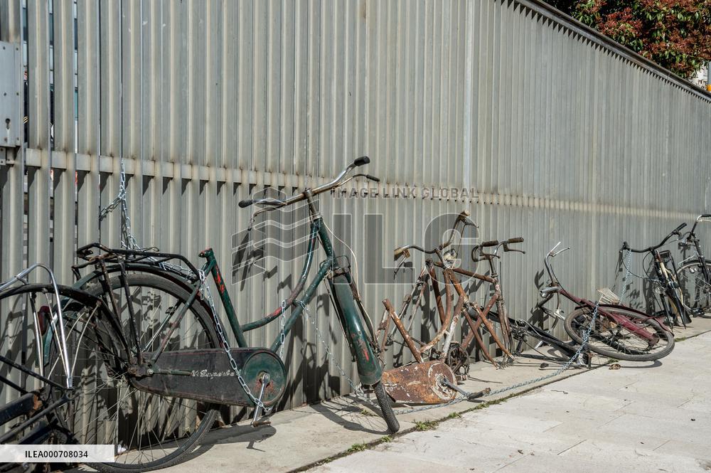 Friday For Future - Milan