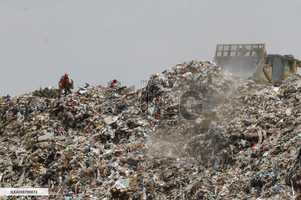 Garbage Collectors - Mexico