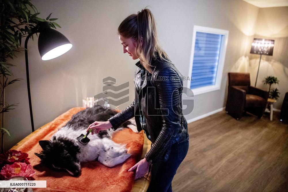 Pet Crematorium - Wormerveer