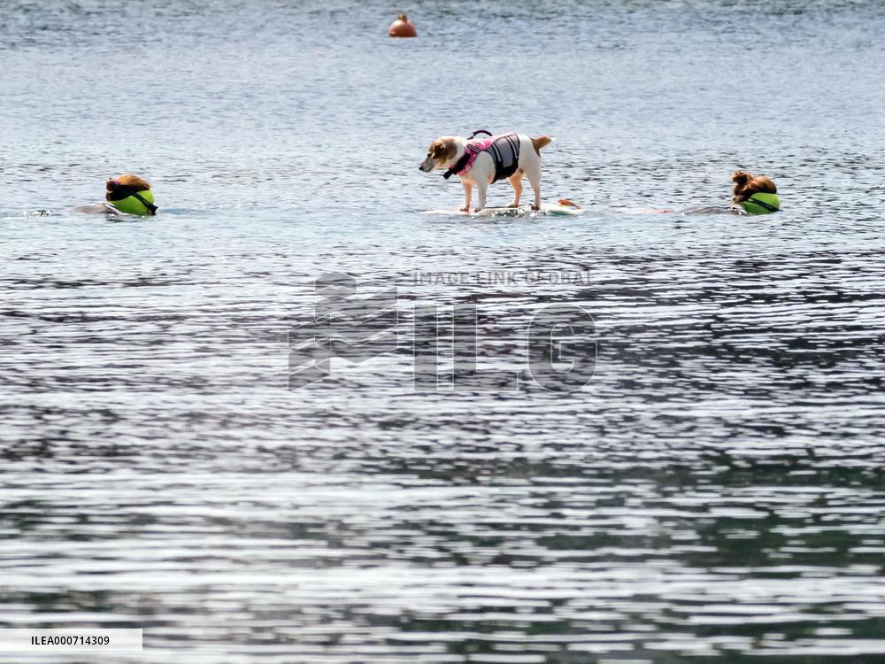 Lockdown in the Alpes Maritimes